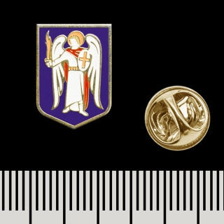 Coat of arms of Kyiv (pnua-008) Figured (Icon) Pin