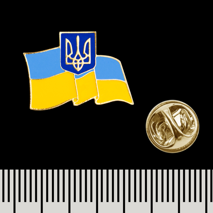 Flag of Ukraine with coat of arms (pnua-005) Figured (Icon) Pin