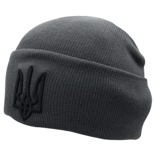 Hat knitted with Trident (gray) (uaht-002)