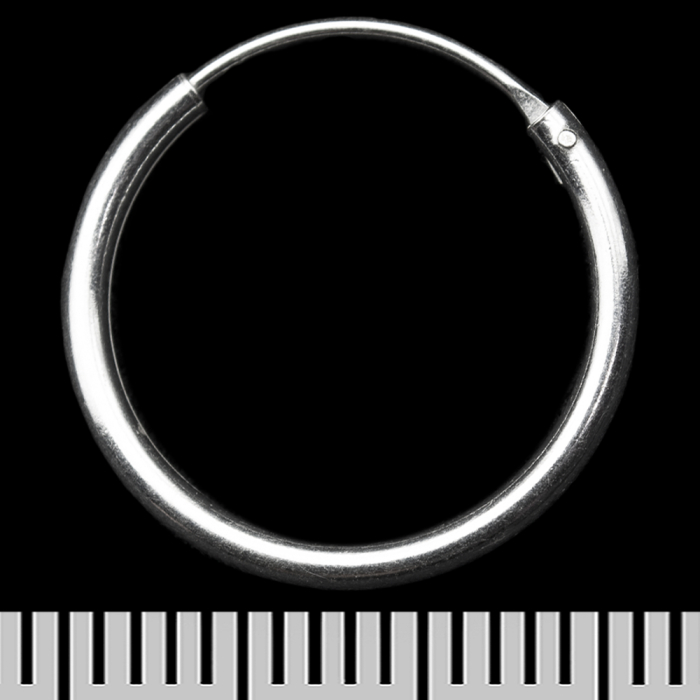 Earring, thick ring (eas-141)