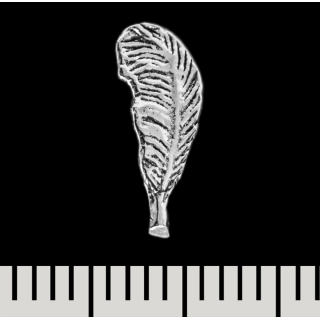 Feather stud earring (silver, 925 sterling silver) (sn-051)