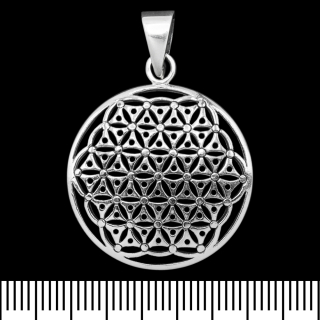 Pendant Flower of Life (silver, 925 assay value) (sp-199)