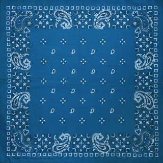 White and Black Paisley on a Turquoise Background Bandana