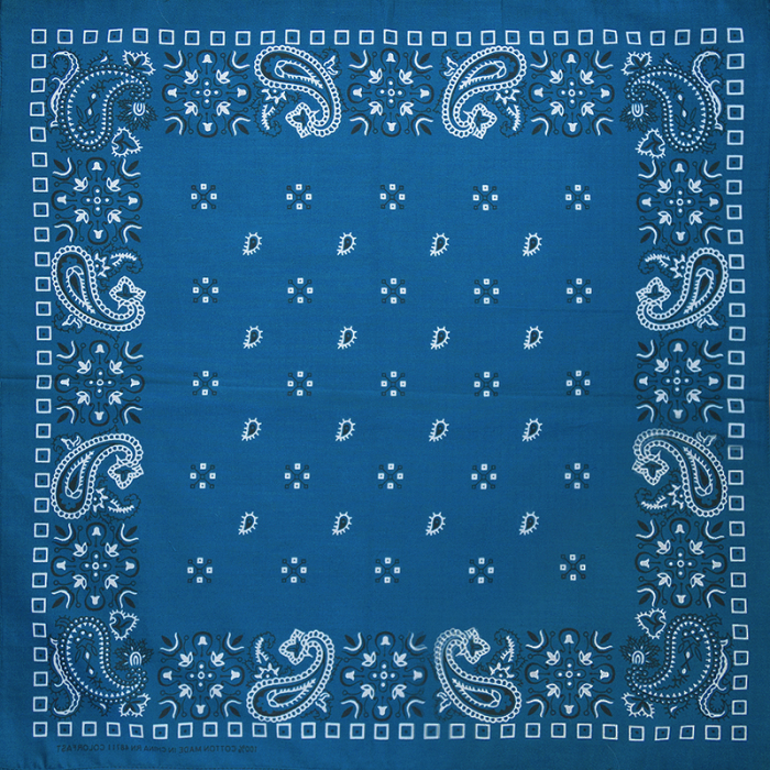 White and Black Paisley on a Turquoise Background Bandana