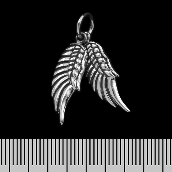 Two Wings (925 Silver) Pendant