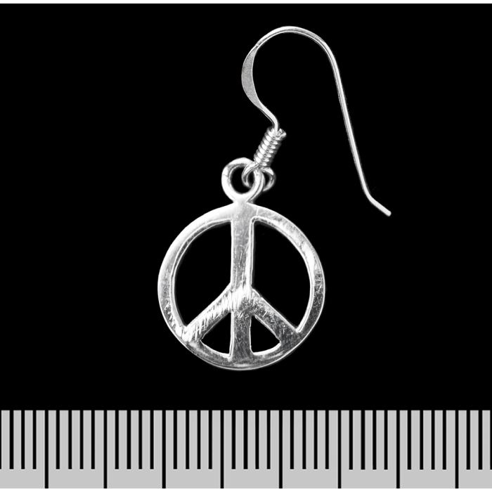 Pacific (925 Silver) Earring-Hook