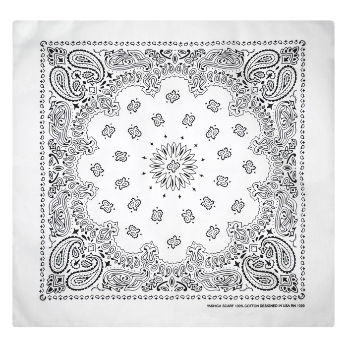 Double Black Paisley on a White Background Bandana