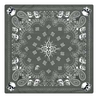 Double Paisley with Skulls on a Gray Background Bandana