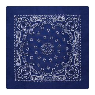 Double White and Black Paisley on a Dark Blue Background Bandana