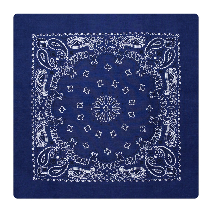 Double White and Black Paisley on a Dark Blue Background Bandana