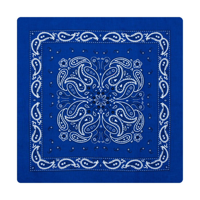 Big White and Black Paisley on a Blue Background Bandana