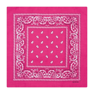 White and Black Paisley on a Pink Background Bandana