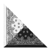 Two-color Double Paisley on White and Black Background Bandana