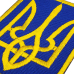 Trident (on a blue background) Patch