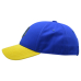 Baseball cap 3D yellow-blue Trident (yellow-blue) uac-029