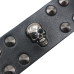 Leather belt Two rows of conical spikes and skulls (bсl-001)