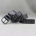 Leather belt Two rows of small spikes and two rows of rivets (bсl-002)
