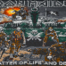 Sew on patch Iron Maiden "A Matter of Life and Death" in blister (ofpb-032)