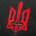 Trident (red Trident with sword, red and black with white trim) uac-014 Baseball Cap Ukraine