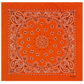 Double White and Black Paisley on a Bright Orange Background Bandana