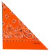 Double White and Black Paisley on a Bright Orange Background Bandana