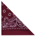 Double White and Black Paisley on a Burgundy Background Bandana