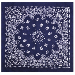 Double White and Black Paisley on An Indigo Background Bandana
