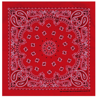 Double White and Black Paisley on a Red Background Bandana