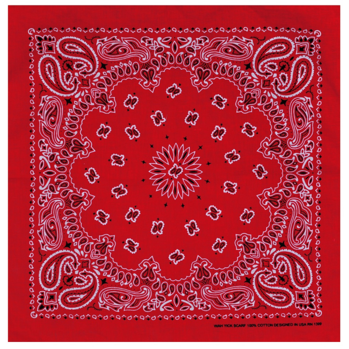 Double White and Black Paisley on a Red Background Bandana