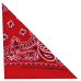 Double White and Black Paisley on a Red Background Bandana