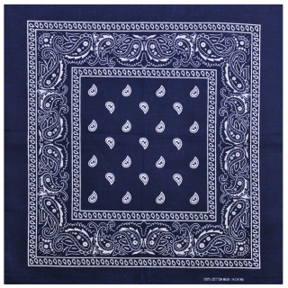 White and Black Paisley on an Indigo Background Bandana