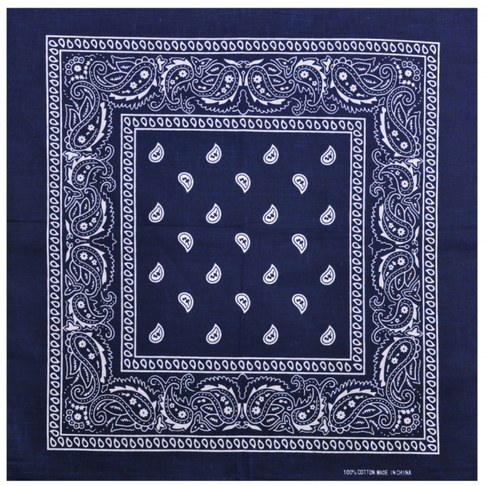 White and Black Paisley on an Indigo Background Bandana