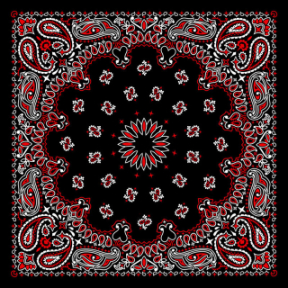 Paisley (Red and White) Bandana