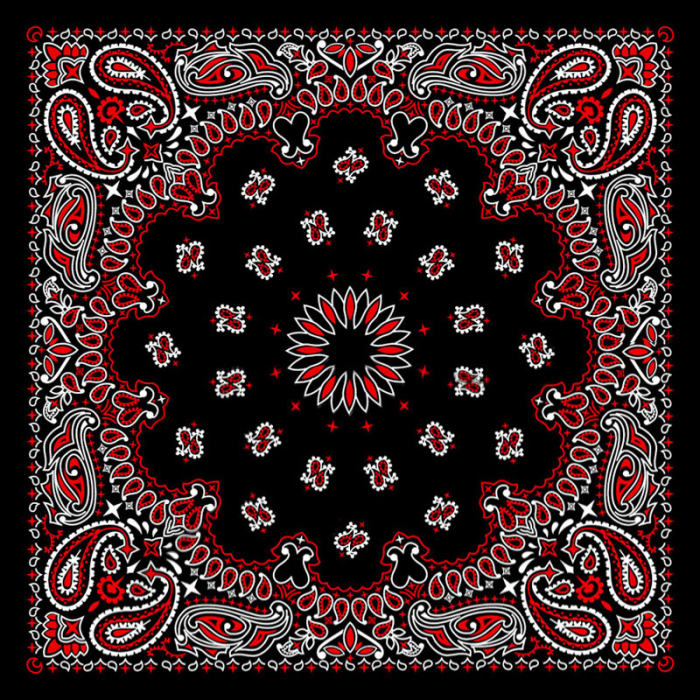 Paisley (Red and White) Bandana