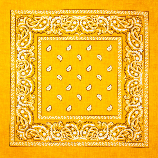 White and Black Paisley on an Orange Background Bandana