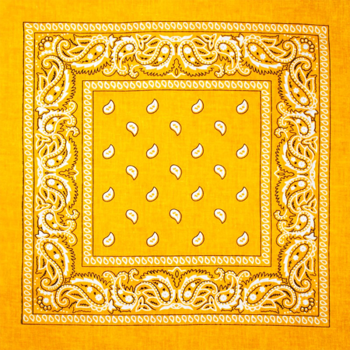 White and Black Paisley on an Orange Background Bandana