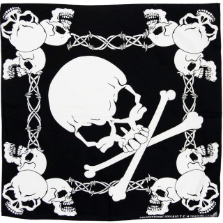 Big Skulls Bandana