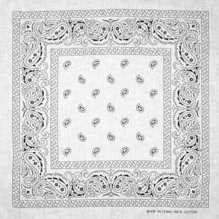 Black Paisley on a White Background Bandana