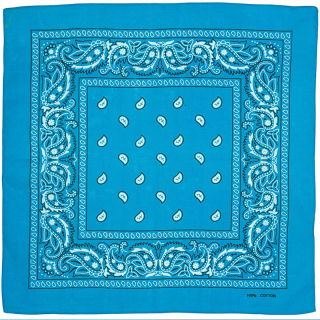 White and Black Paisley on a Blue Background Bandana