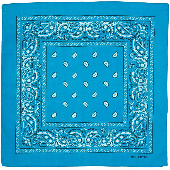 White and Black Paisley on a Blue Background Bandana