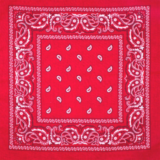 White and Black Paisley on a Red Background Bandana