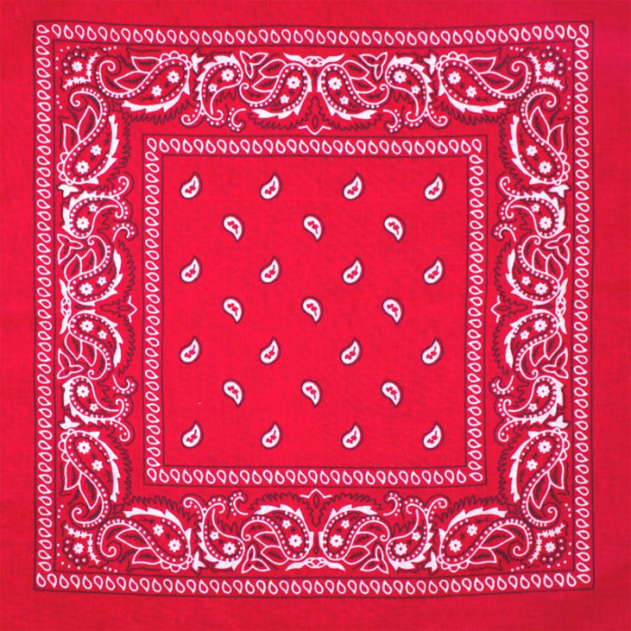 White and Black Paisley on a Red Background Bandana