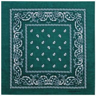 White and Black Paisley on a Khaki Background Bandana