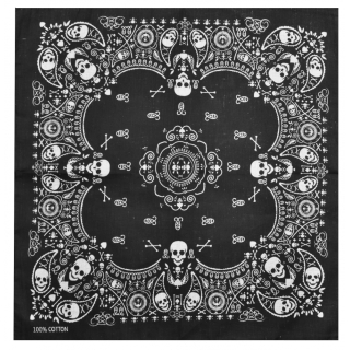 Magical Skulls Bandana