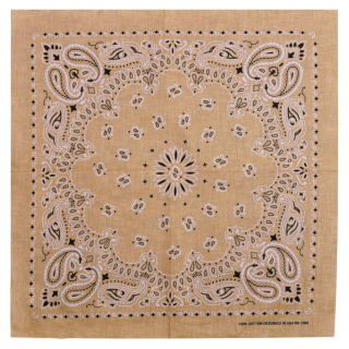 Double White and Black Paisley on a Beige Background Bandana