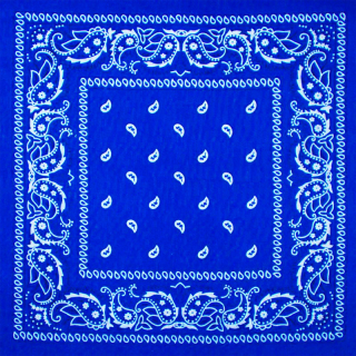White and Black Paisley on a Blue Background Bandana