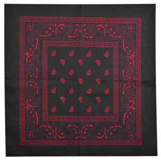 Red Paisley on a Black Background Bandana