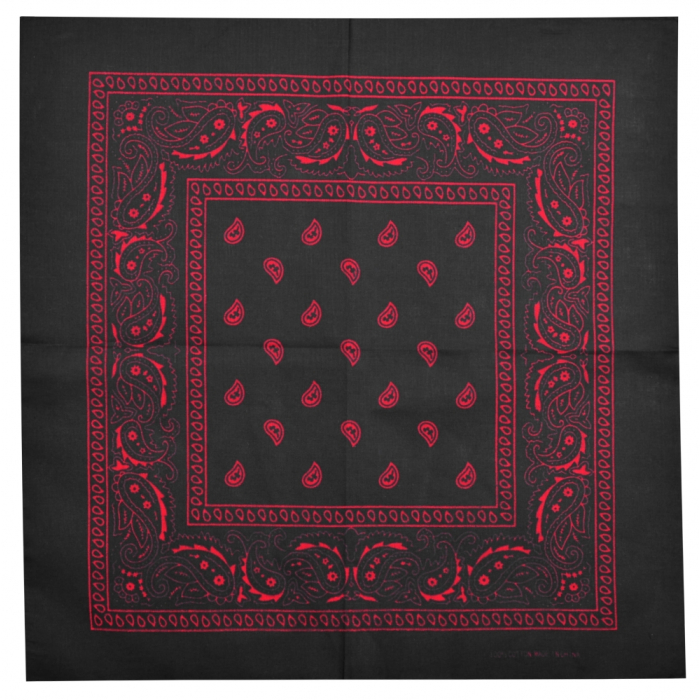 Red Paisley on a Black Background Bandana