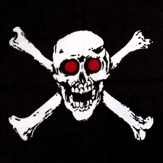 Skull with Bones Bandana
