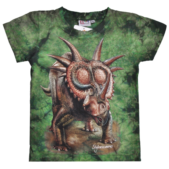Dinosaur (Rock Eagle, Tie Dye) T-Shirt
